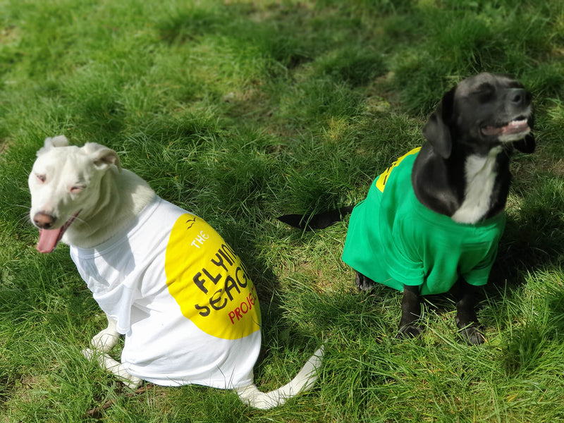 Spread a Little Sunshine T-shirt sale & competition