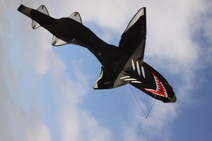 Wolkensturmer | Shark Kite Delta Single Line Traditional Flying Kite - 2.4m